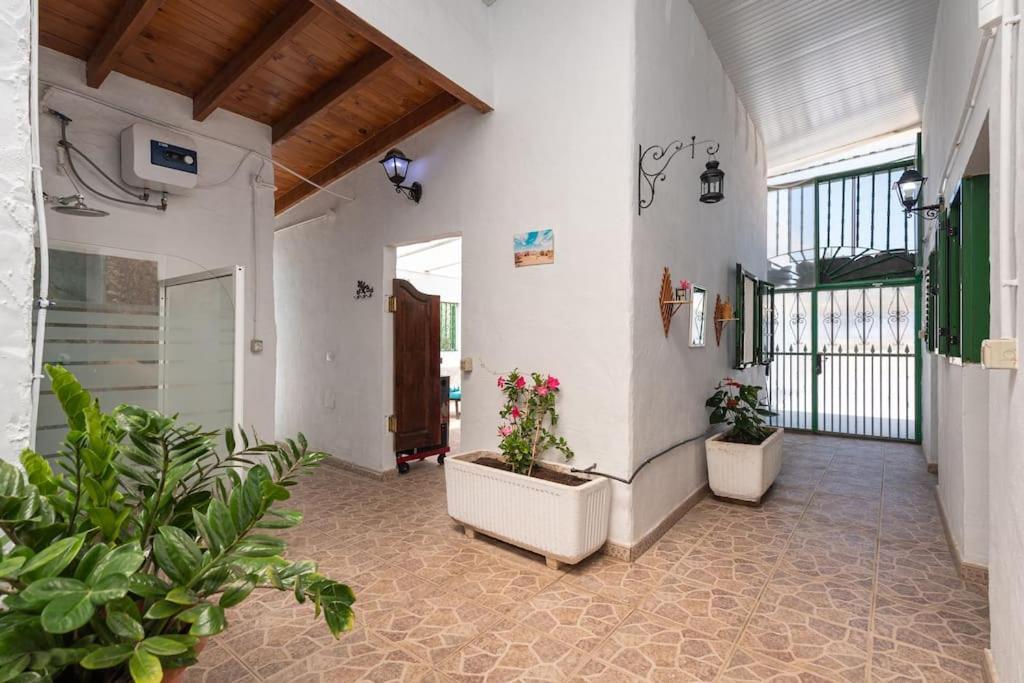 Vivienda Vacacional Ca' Pepita Y Jose El Albercon Exterior foto