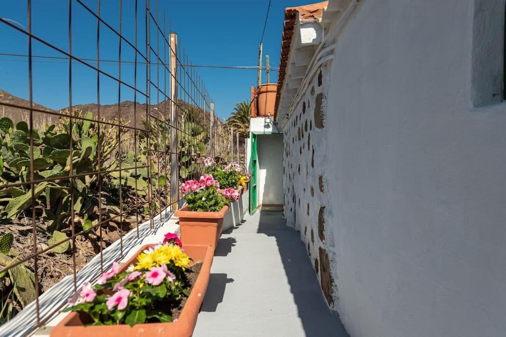 Vivienda Vacacional Ca' Pepita Y Jose El Albercon Exterior foto